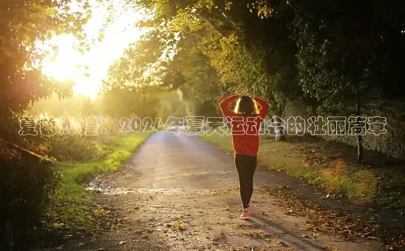 xc体育官网入口