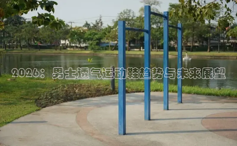 XCsport体育网页