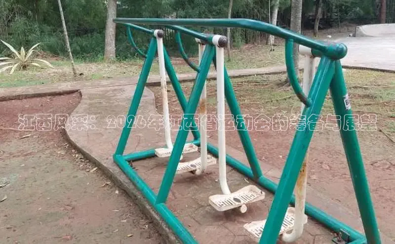xc体育官网入口