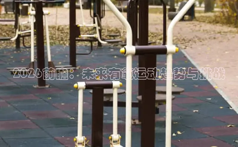 xc体育官网入口